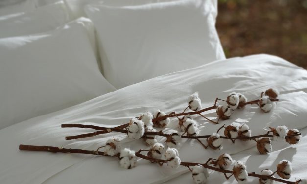 5 Essential Mattress Certifications For Non-Toxic & Natural Mattresses