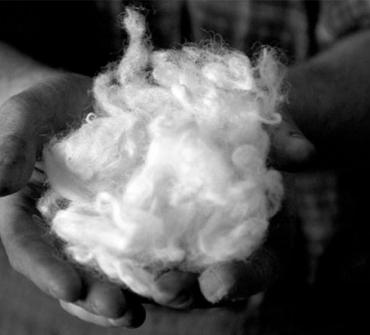 Is wool flame resistant?