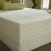 Beds Natural Mattress