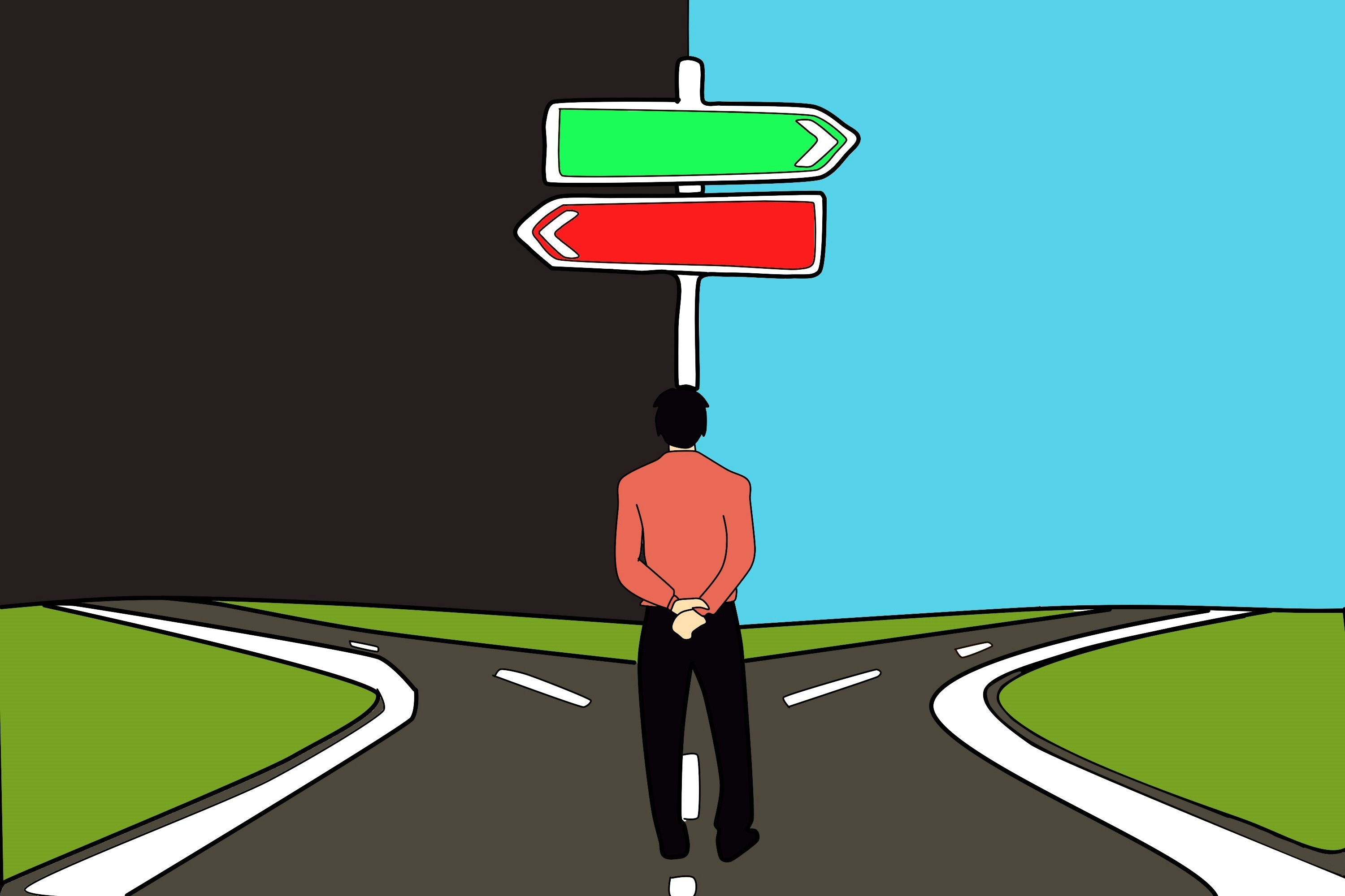 Memory of positive and negative events forms the emotional memory that we use to guide our decisions