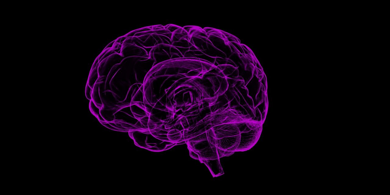 How To Lower Your Risk Of Getting Alzheimer’s Disease