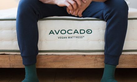Avocado Vegan Mattress Review