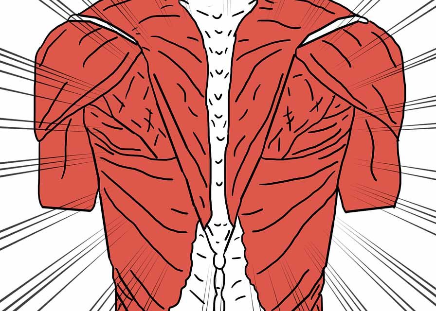 Why a Latex Mattress Is the Best Type of Mattress for Alleviating Back Pain
