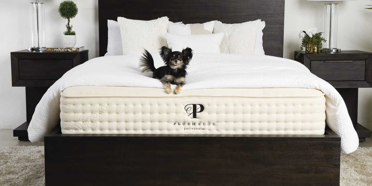 plushbeds natural latex mattress the natural bliss