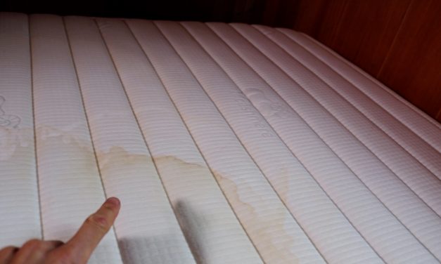 How To Remove Pee Stains (Urine Stains) From Any Mattress