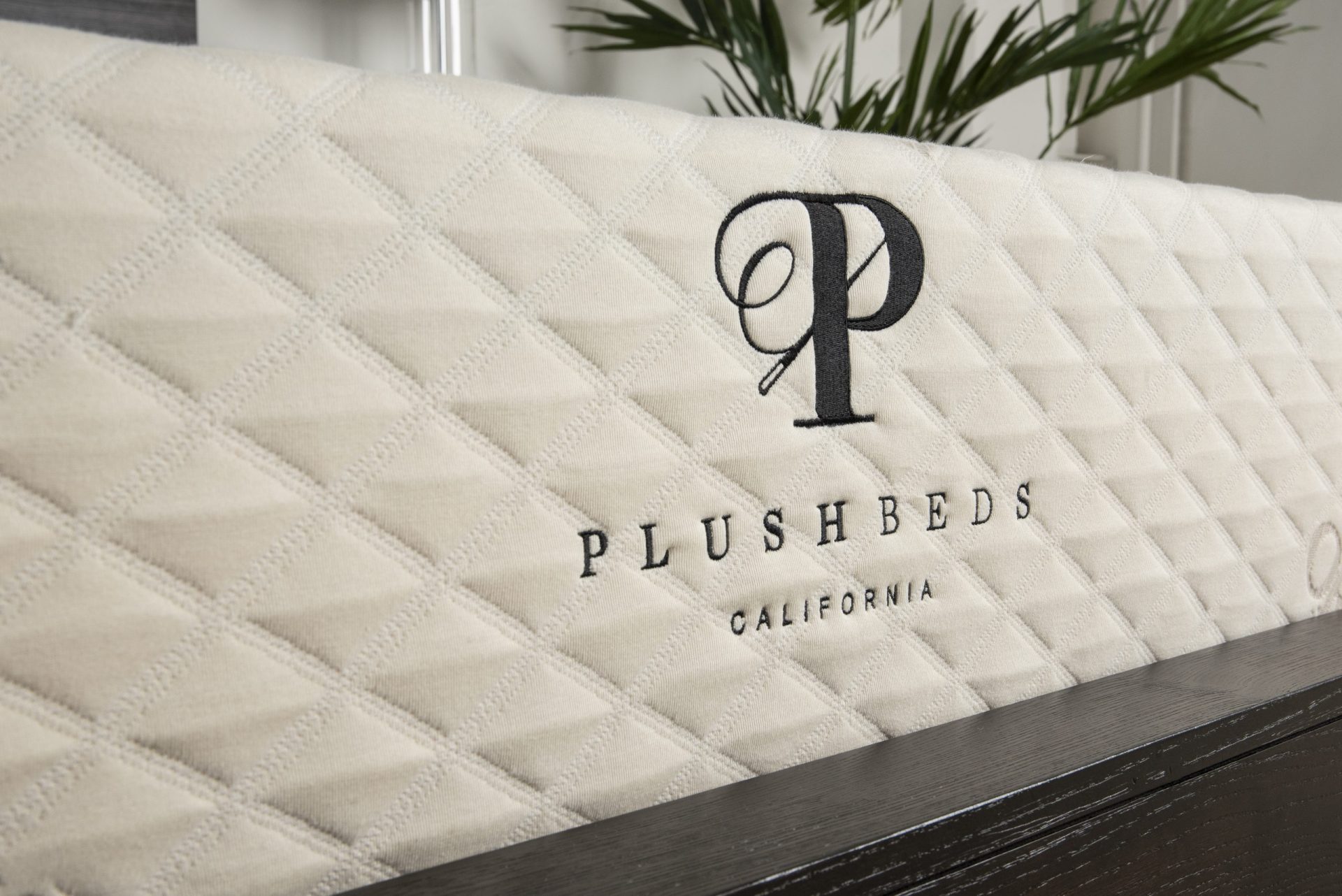 PlushBeds Natural Bliss Detailed Review