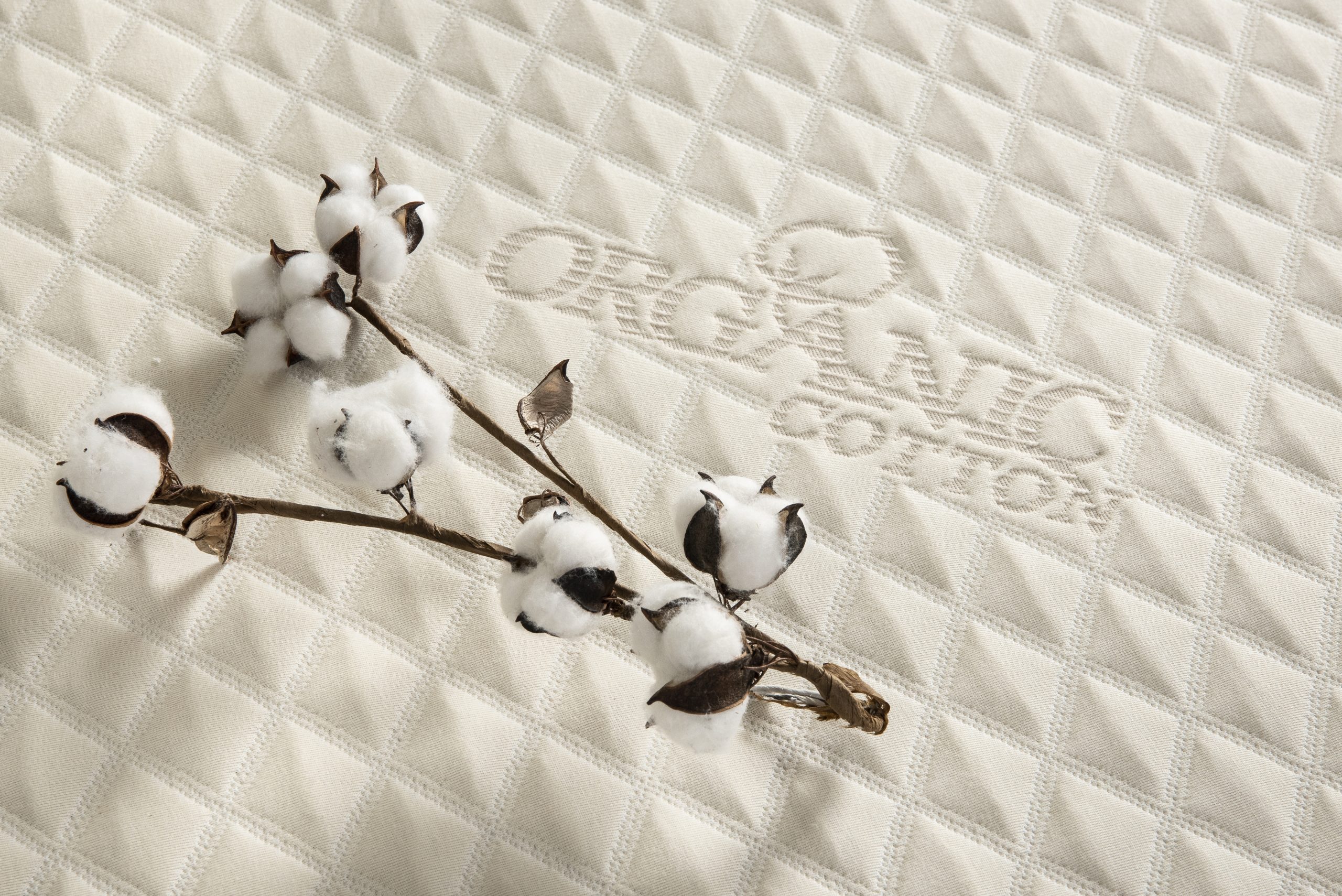 PlushBeds Natural Bliss Detailed Review