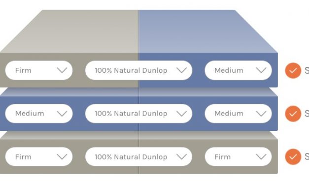 Sleep Ez split configuration with Dunlop latex.