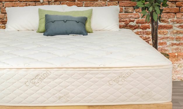 SleepEz split top talalay