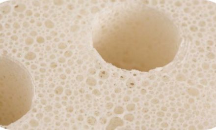 What is Latex Made Of?