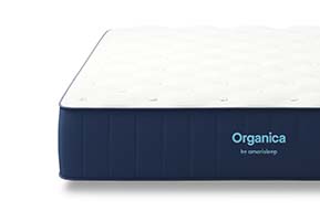 Amerisleep Organica Mattress Review