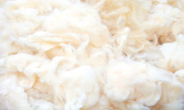 New Zealand Joma Wool
