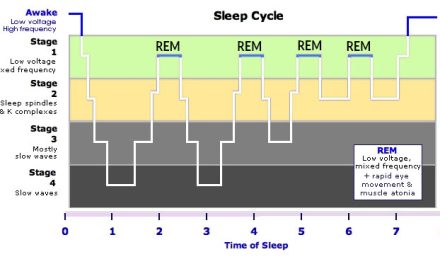 What is somnambulism a.k.a sleepwalking