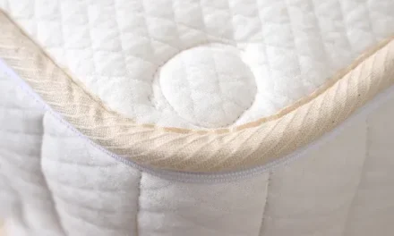 Turmerry Dual Side Latex Flippable Mattress Review