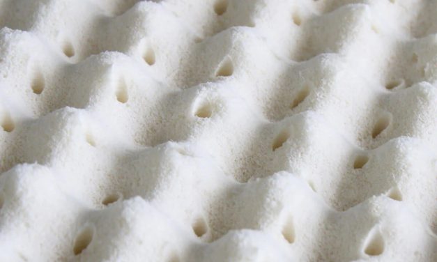 Turmerry Organic Egg Crate Mattress Review